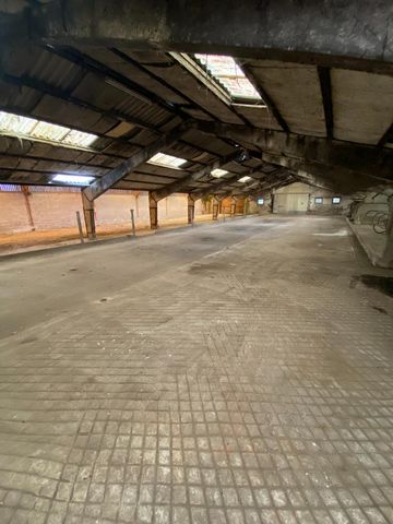 photo no. 6