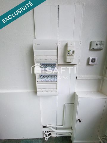 photo no. 11