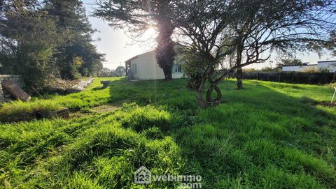 photo no. 14