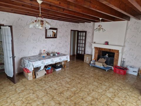 photo no. 6
