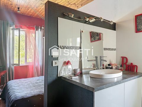photo no. 13