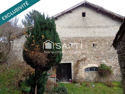 photo no. 12