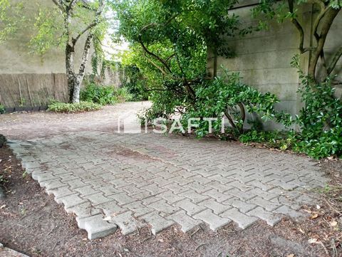 photo no. 10