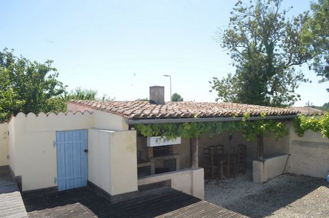 photo no. 11