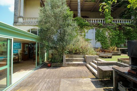 photo no. 19