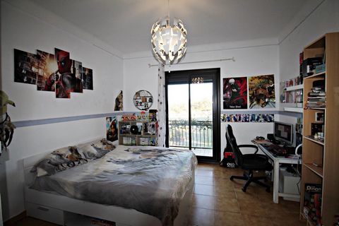 photo no. 6