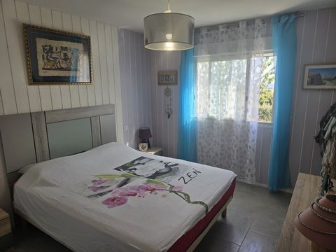 photo no. 6