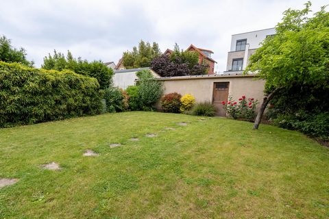 photo no. 10