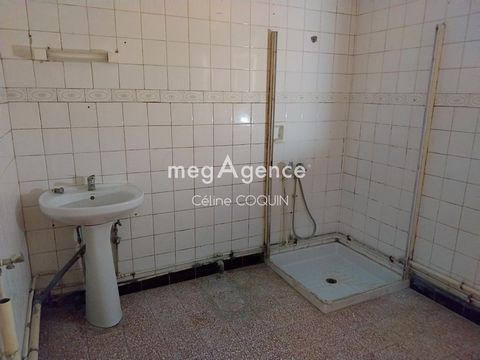 photo no. 5