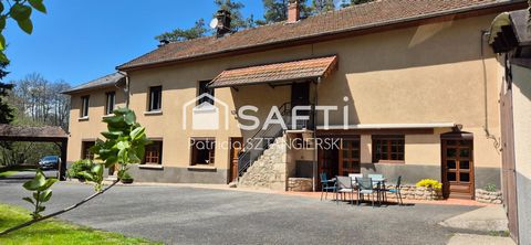 Grande maison auvergnate rénovée T7 avec grande surface de garages et parcelles jardin et bois.