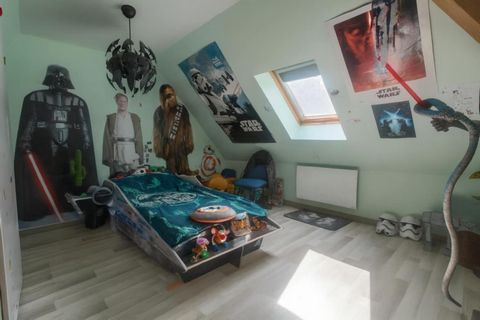 photo no. 7