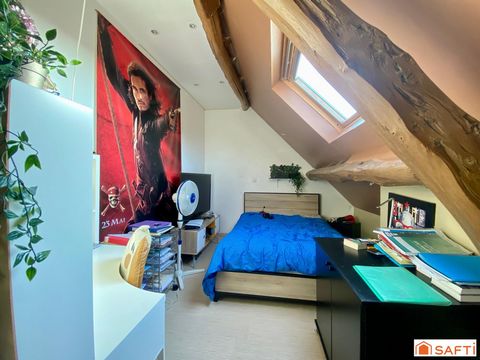 photo no. 7