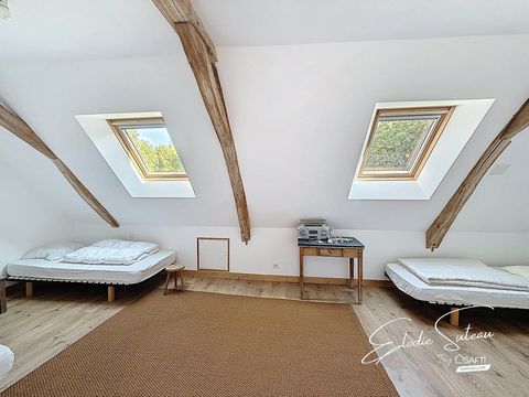 photo no. 8