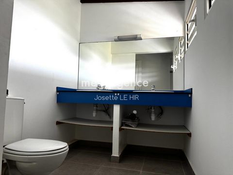 photo no. 6