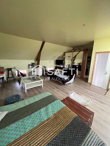 photo no. 12