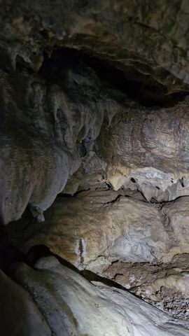 photo no. 12