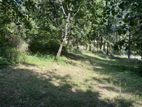 photo no. 17