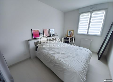 photo no. 11