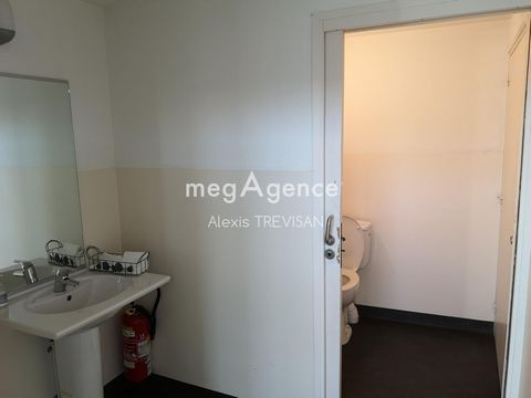 photo no. 11