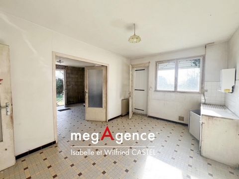 photo no. 2