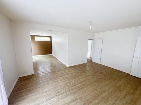 photo no. 6