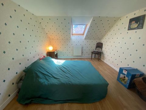photo no. 9