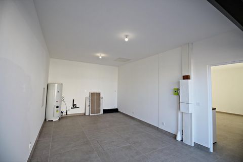 photo no. 13