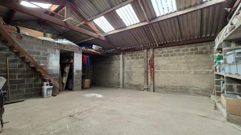 photo no. 12