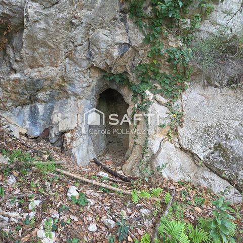 photo no. 2