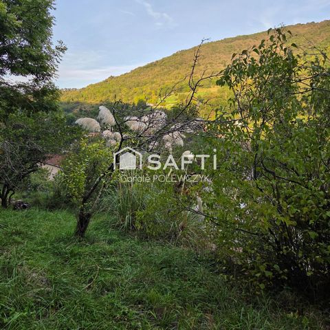 photo no. 5