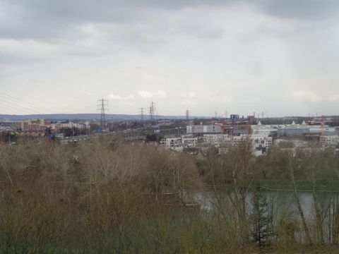 photo no. 7