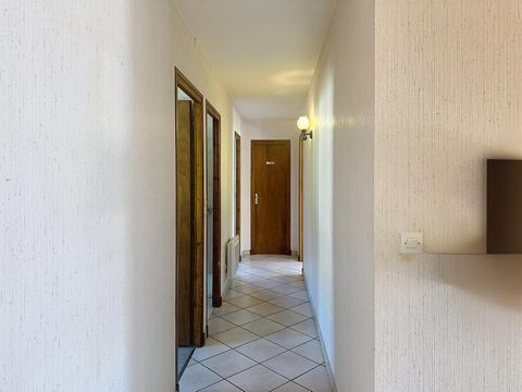 photo no. 7