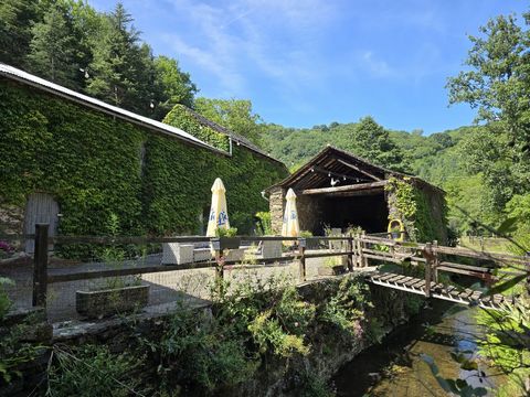 photo no. 2