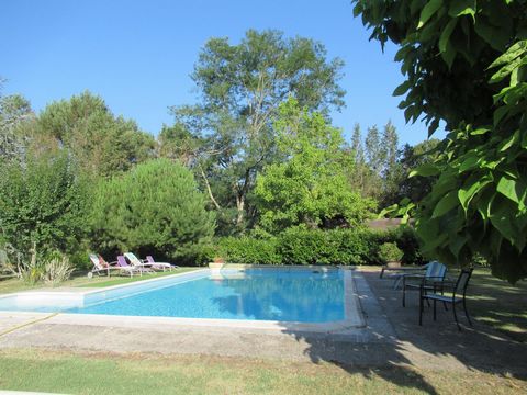 photo no. 9