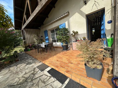 photo no. 11