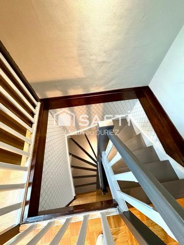 photo no. 11