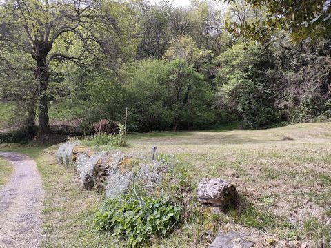 photo no. 24