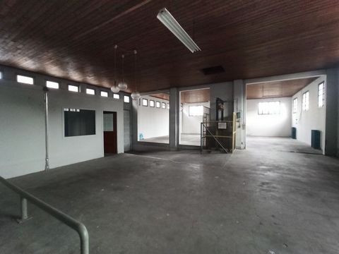 photo no. 6