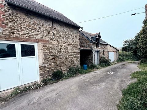 photo no. 5
