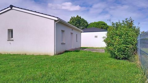 photo no. 5