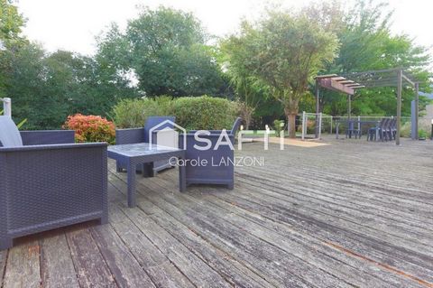 photo no. 15