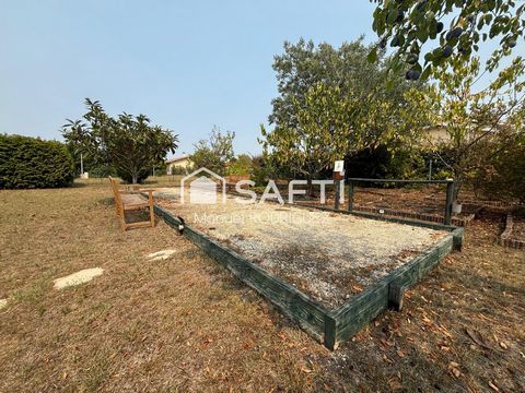 photo no. 4