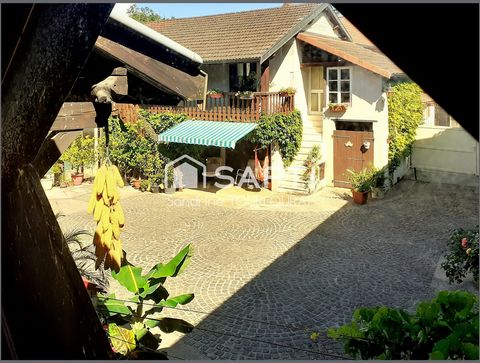 photo no. 11