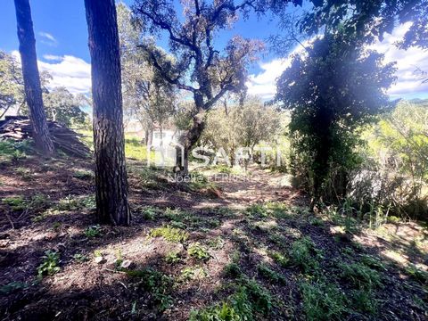 -Sous Offre- Terrain viabilisé 3000 m2 pour construction Villa environ 180 m2 à Sainte Maxime