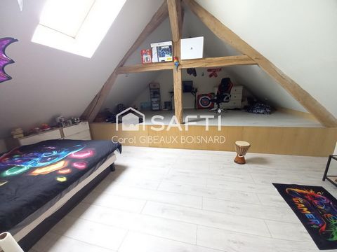 photo no. 12
