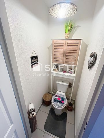 photo no. 12