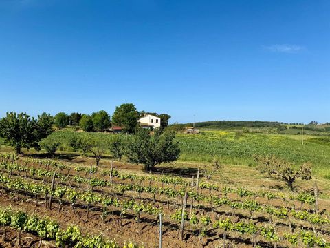 Magliano in Toscana casale in vendita A soli 4 km dal pittoresco borgo di Magliano in Toscana, proponiamo in vendita un casale indipendente immerso nella quiete e nel verde della campagna maremmana La proprietà si trova nella suggestiva zona della Ca...