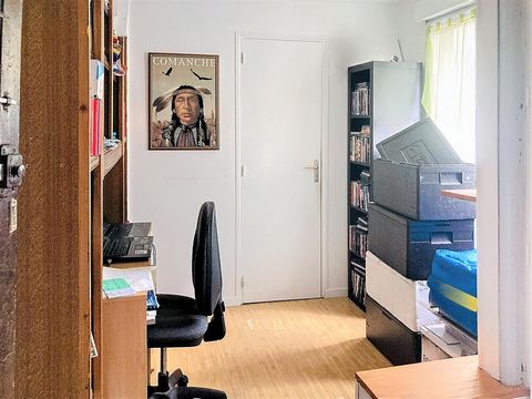 photo no. 8
