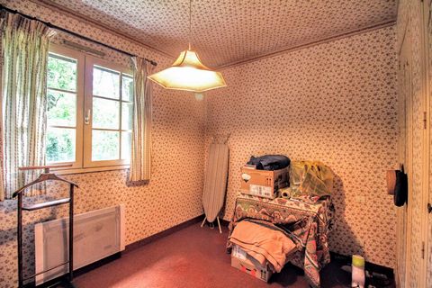 photo no. 16