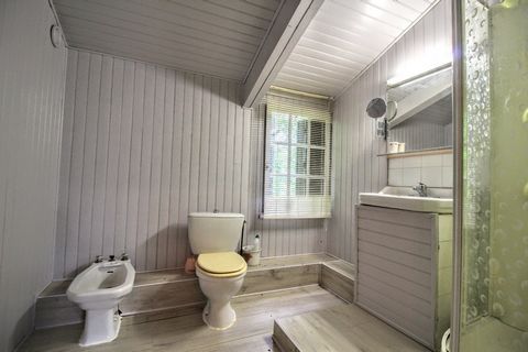 photo no. 19